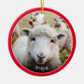 Niedliche Personalisierte Keramik Ornament (Vorne)