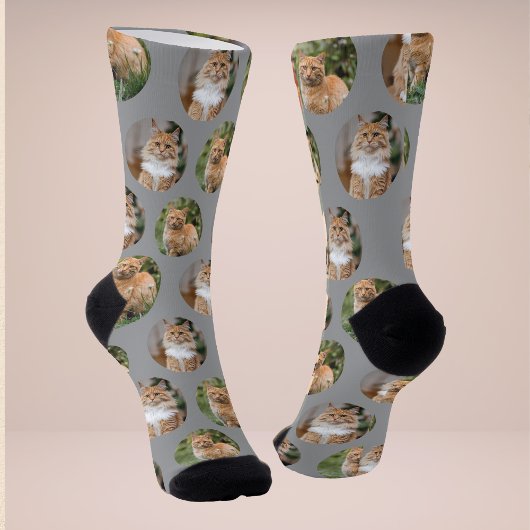 Niedliche Pet 2 Cat Foto Socken
