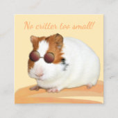 Niedliche Pet Care Guinea Schweinebild Quadratische Visitenkarte (Vorderseite)