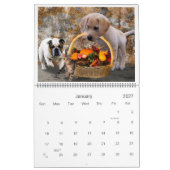 Niedliche Pet Friends in Bildern Kalender (Jan 2027)