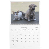 Niedliche Pet Friends in Bildern Kalender (Feb 2027)
