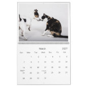Niedliche Pet Friends in Bildern Kalender (Mär 2027)