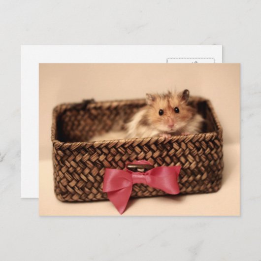 Niedliche PetL0ve-Postkarte Postkarte (Vorne/Hinten)