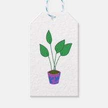 Niedliche Pflanze auf dem Plantpot-Geschenktag