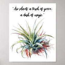 Niedliche Pflanze Zitat Wall Art Poster