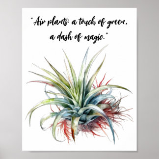 Niedliche Pflanze Zitat Wall Art Poster