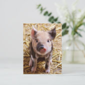Niedliche PIglet Postkarte (Stehend Vorderseite)