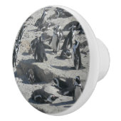 Niedliche Pinguine auf Beach Keramik Pull Keramikknauf (Rechts)