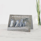 Niedliche Pinguine, Ermutigung oder eigene Worte Karte (Vorderseite)