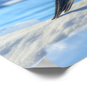 Niedliche Pinguine Poster (Ecke)