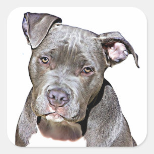 Niedliche Pit Bull Dog Stickers