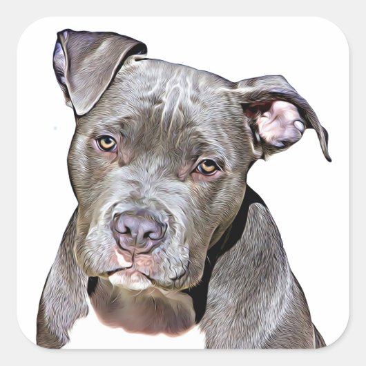Niedliche Pit Bull Dog Stickers (Vorderseite)