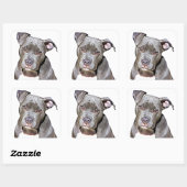 Niedliche Pit Bull Dog Stickers (Blatt)
