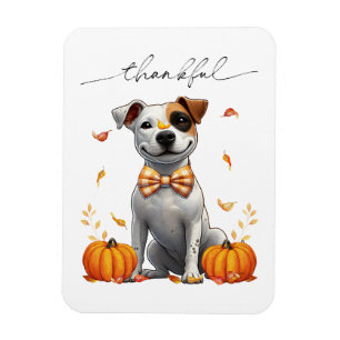 Niedliche Pit Bull Ernsthafte Fallpumpen Magnet