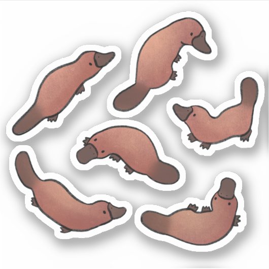 Niedliche Platypus Aufkleber (Vorderseite)