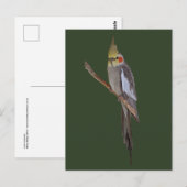 Niedliche Postkarte (Vorne/Hinten)