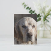 Niedliche Postkarte (Stehend Vorderseite)