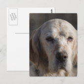 Niedliche Postkarte (Vorne/Hinten)