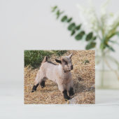 Niedliche Postkarte (Stehend Vorderseite)