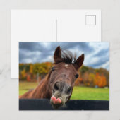 Niedliche Postkarte (Vorne/Hinten)