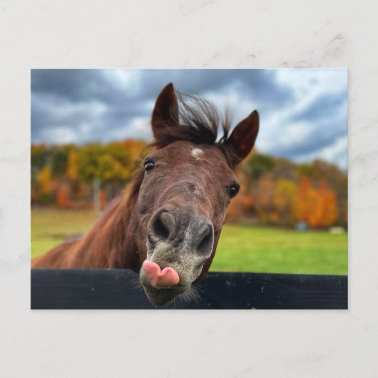 Niedliche Postkarte (Vorderseite)