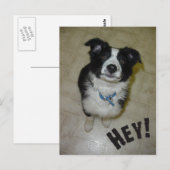 Niedliche Postkarte (Vorne/Hinten)