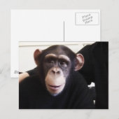 Niedliche Postkarte (Vorne/Hinten)