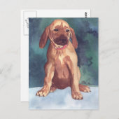 Niedliche Postkarte (Vorne/Hinten)