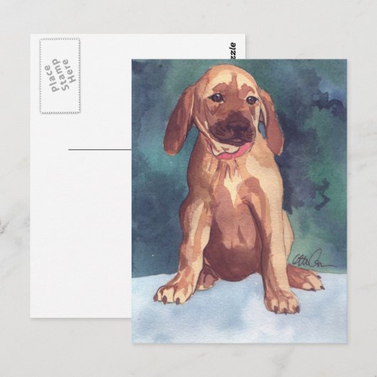 Niedliche Postkarte (Vorne/Hinten)