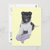 Niedliche Postkarte für Welpen akita und Teddy-rea (Vorne/Hinten)