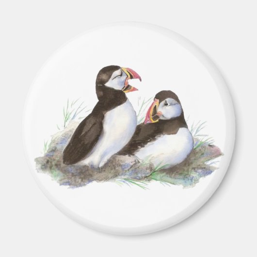 Niedliche Puffen, Ocean Bird, Strand, Natur Magnet (Vorne)