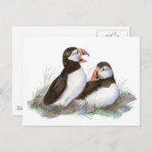 Niedliche Puffen, Ocean Bird, Strand, Natur Postkarte (Vorne/Hinten)