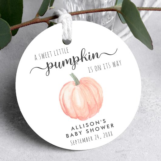 Niedliche Pumpkin Baby Dusche Vielen Dank Geschenkanhänger