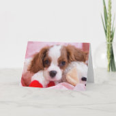 Niedliche Puppy Cavalier King Charles Greeting Car Karte (Vorderseite)