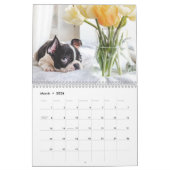 niedliche Puppy im Kalender 2024 - Kalender für be (Mär 2026)