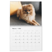 niedliche Puppy im Kalender 2024 - Kalender für be (Feb 2026)