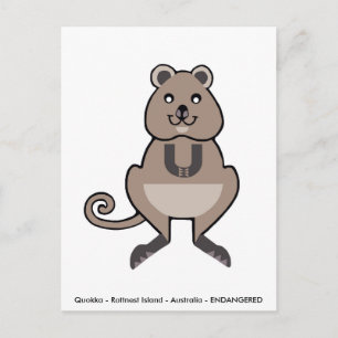 Niedliche QUOKKA - Tierliebhaber - Wildtiere - Ver Postkarte