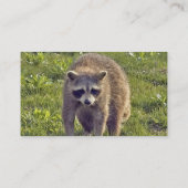 Niedliche Raccoon-Geschäfts-Karten Visitenkarte (Rückseite)