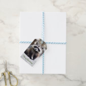 Niedliche Raccoon-Geschenketiketten Geschenkanhänger (Mit Garn)