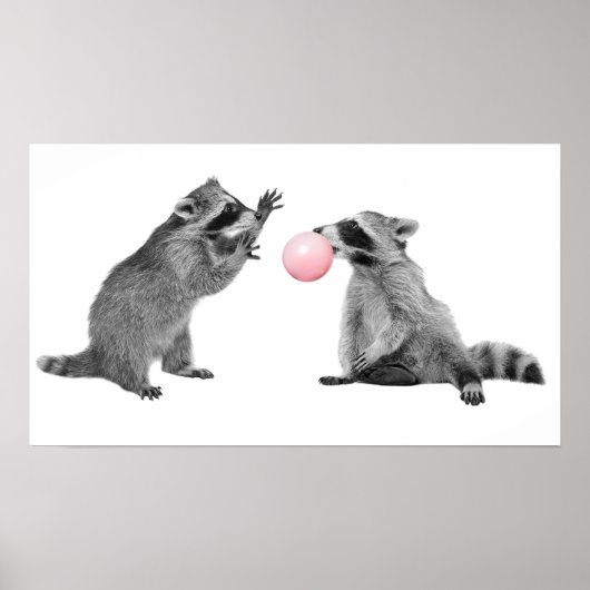Niedliche Raccoons Blubble Gum Kinderzimmer Child Poster (Vorne)