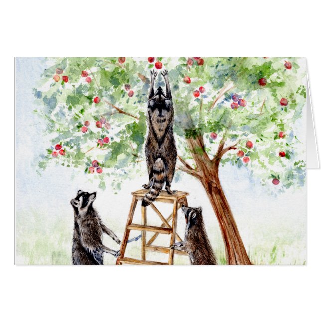 Niedliche Raccoons im Apple Orchard (Vorderseite (Horizontal))