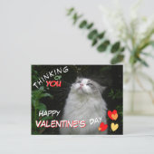 Niedliche Ragdoll Cat Happy Valentine's Day Postka Postkarte (Stehend Vorderseite)