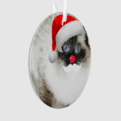 Niedliche Ragdoll Sankt Katze Weihnachtsverzierung Ornament (Vorderseite)