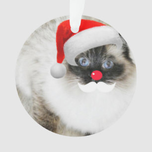 Niedliche Ragdoll Sankt Katze Weihnachtsverzierung Ornament