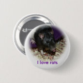 Niedliche Ratte, die sich das Button ausstreckt (Vorne & Hinten)