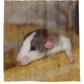 Niedliche Ratte Duschvorhang (Vorderseite)