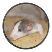 Niedliche Ratte Eishockey Puck (Vorderseite)