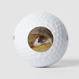 Niedliche Ratte Golfball