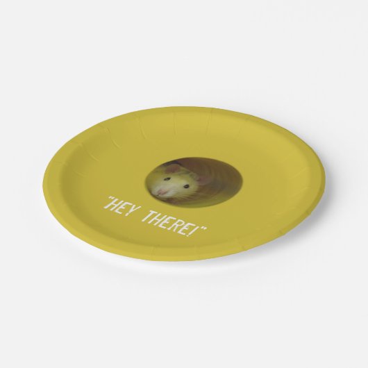 Niedliche Ratte im Loch-lustigen Tier Pappteller (Schrägansicht)