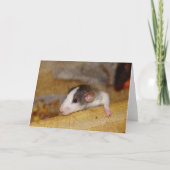 Niedliche Ratte Karte (Vorderseite)